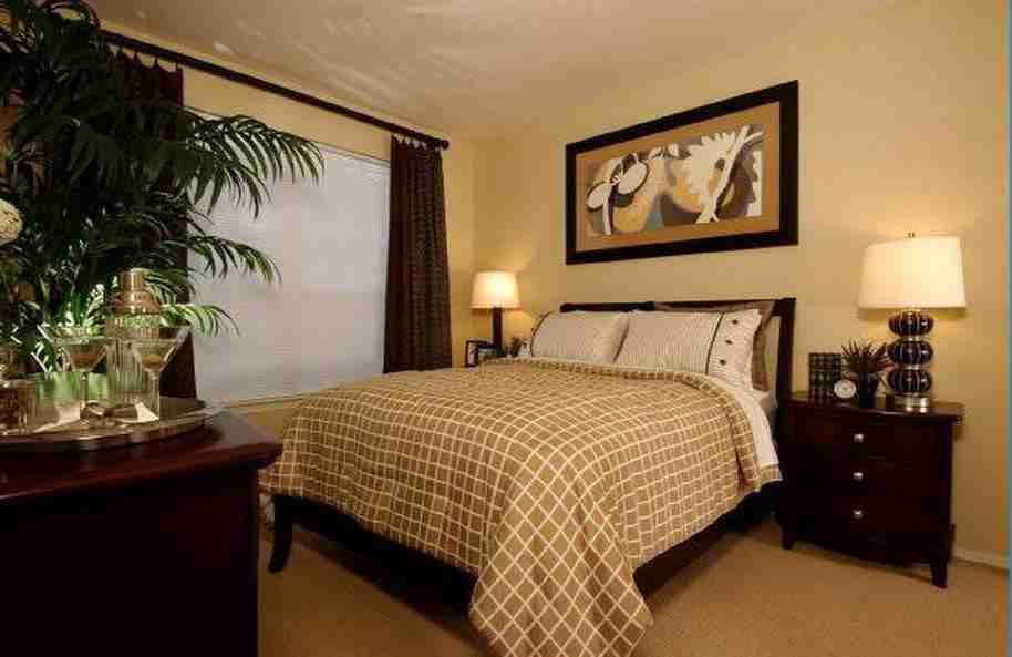 3397 S Kirkman Rd - Photo 3 of 50