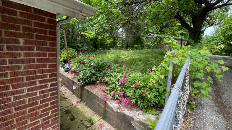 1215 Hill Ave - Photo 2 of 19