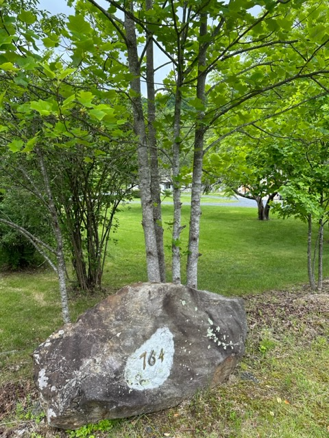 764 Brushy Creek Rd - Photo 2 of 23