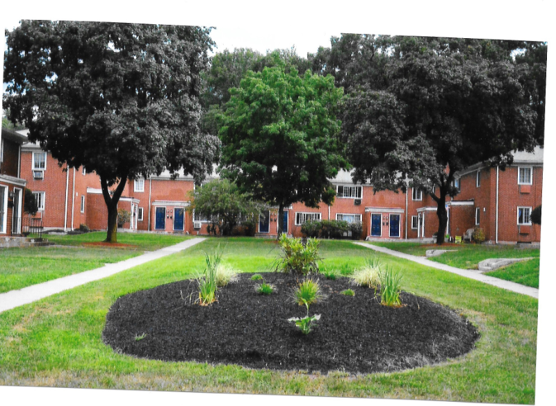 438 Middle Tpke W #59 - Photo 3 of 7