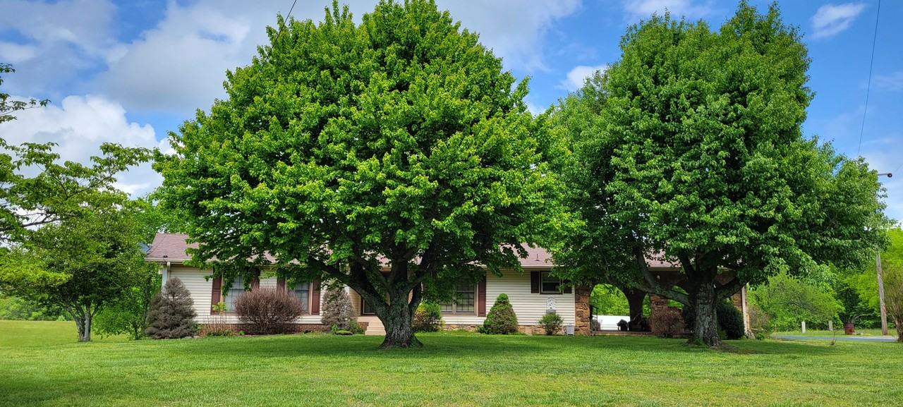 2202 Union Hill Rd - Photo 2 of 36