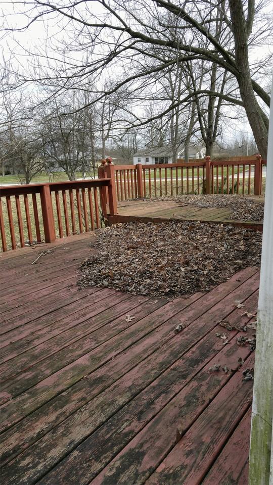 4811 Forest Ave #1 - Photo 2 of 10