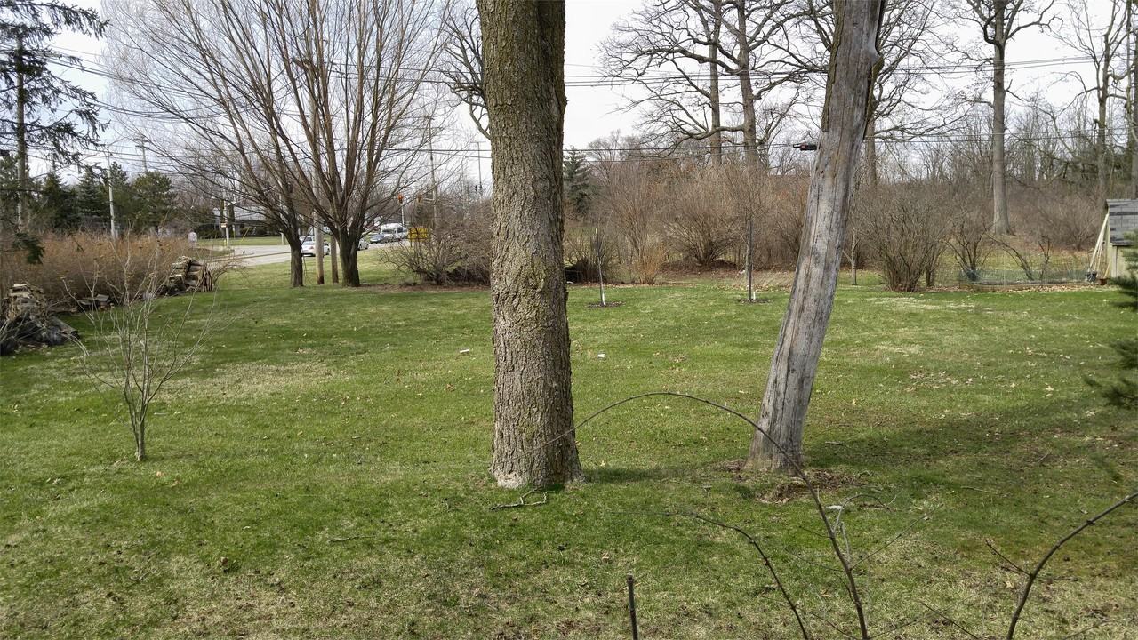 4811 Forest Ave #1 - Photo 3 of 10