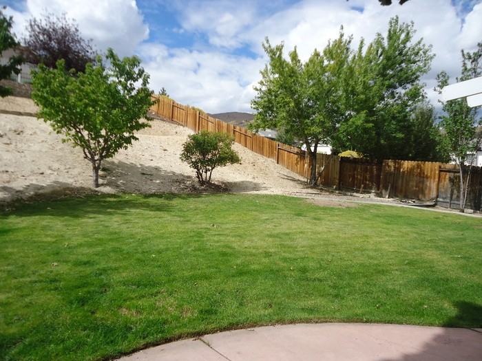 2887 Cadence Ct - Photo 3 of 7