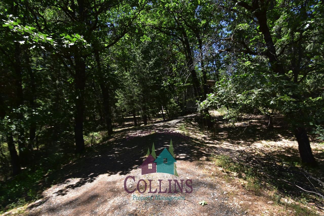 12999 Capitol Dr - Photo 2 of 18