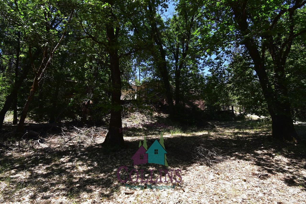 12999 Capitol Dr - Photo 4 of 18