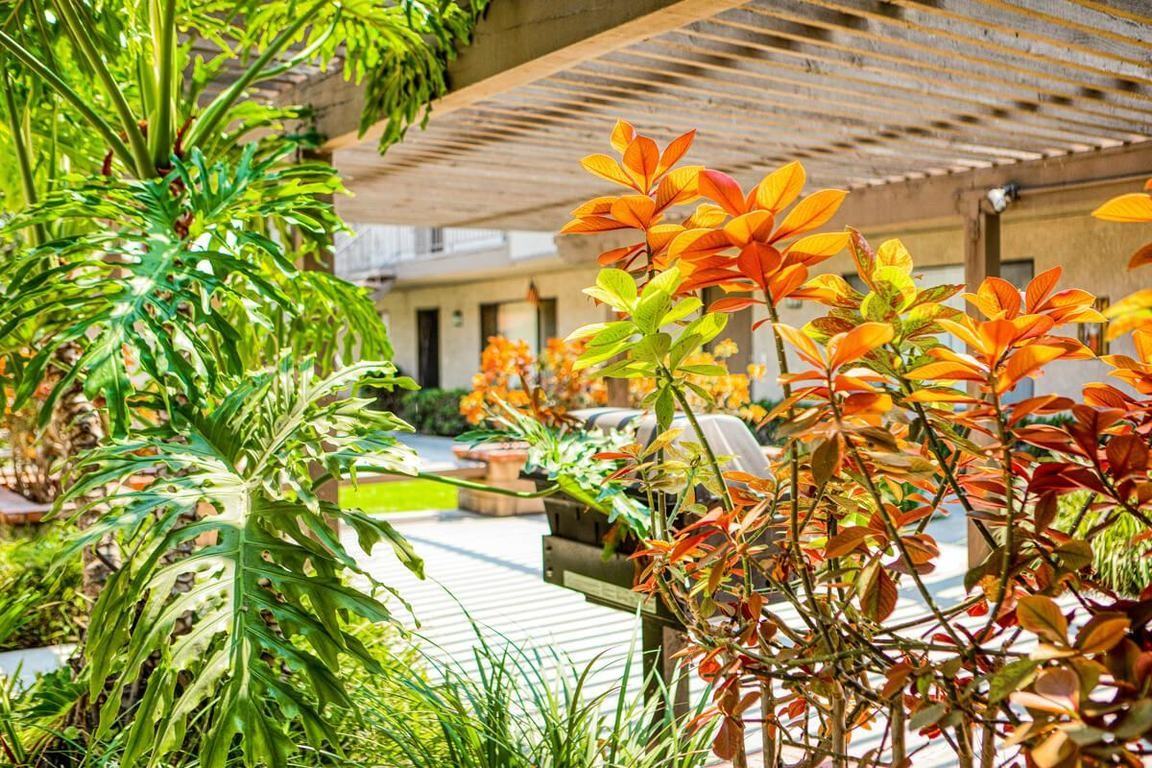 Kingman Avenue - Photo 2 of 11