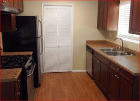 featured image of 11050 Cynthia Cir Ofc