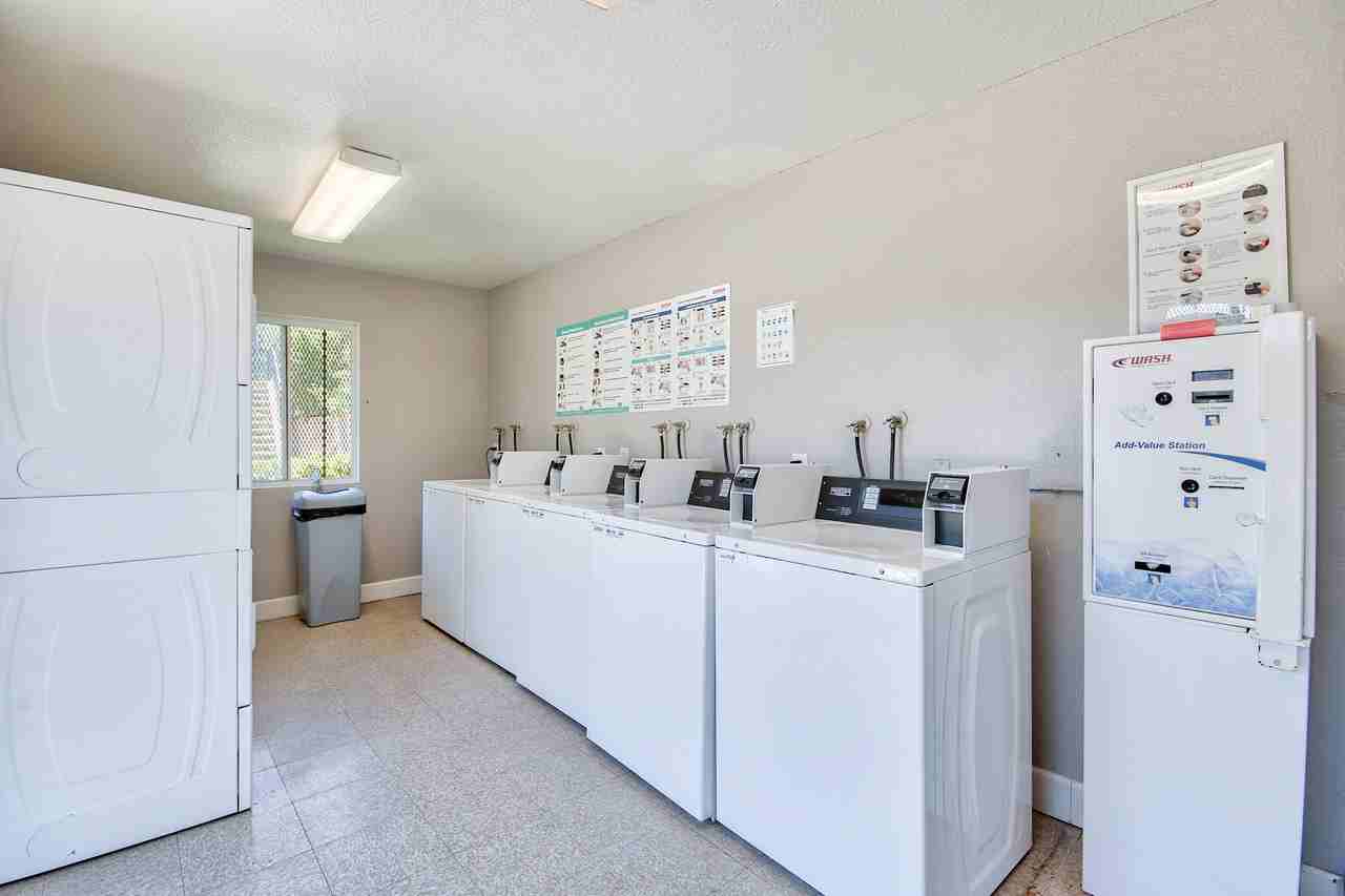 Cinnamon Creek - Photo 4 of 17