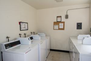 featured image of 41 Cameo Drive