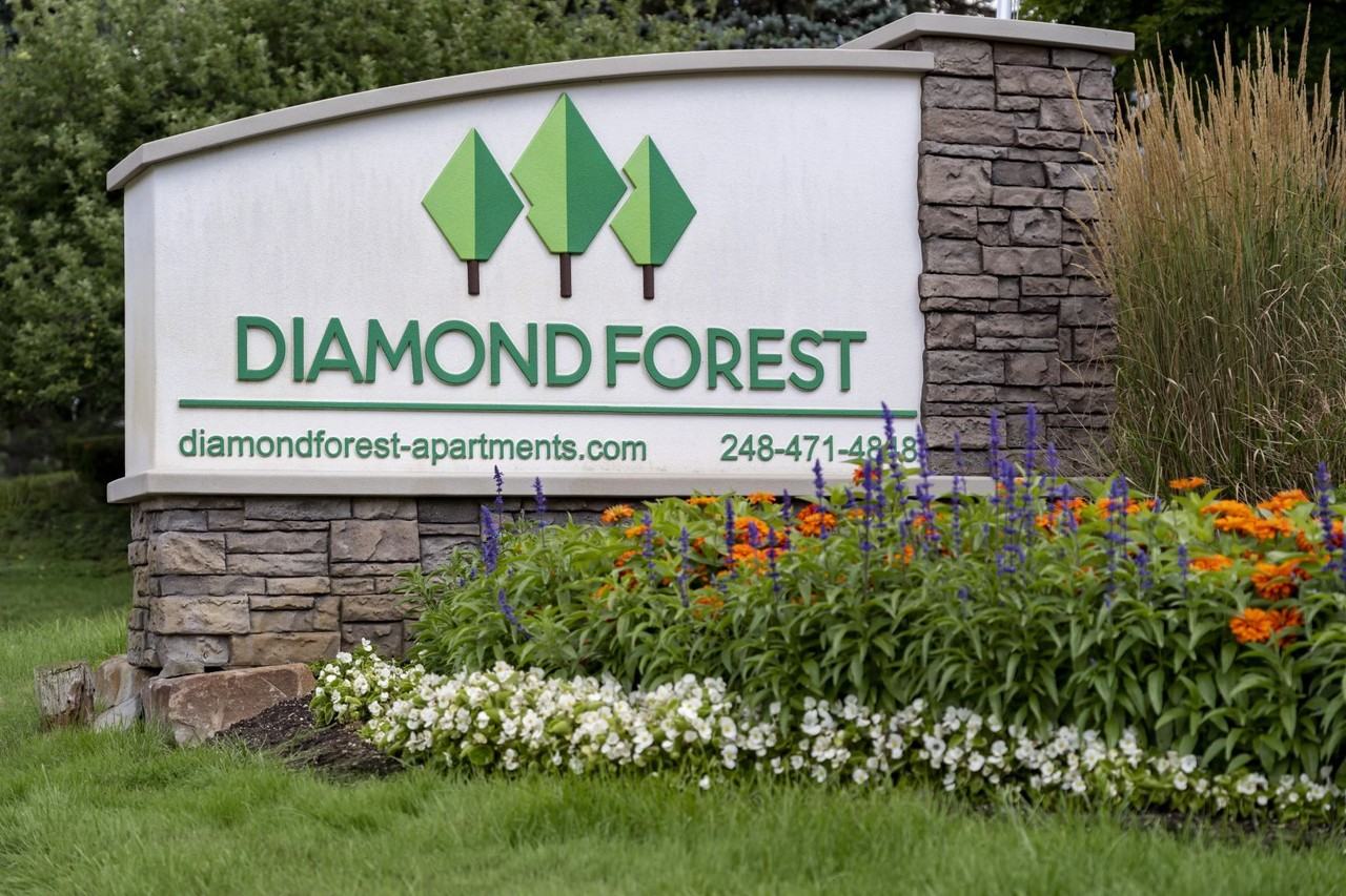 Diamond Forest Apartments - Photo 2 of 30