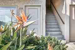 WINDSOR MANOR III - Photo 1 of 1