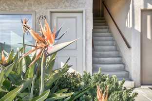 WINDSOR MANOR III - Photo 1 of 1