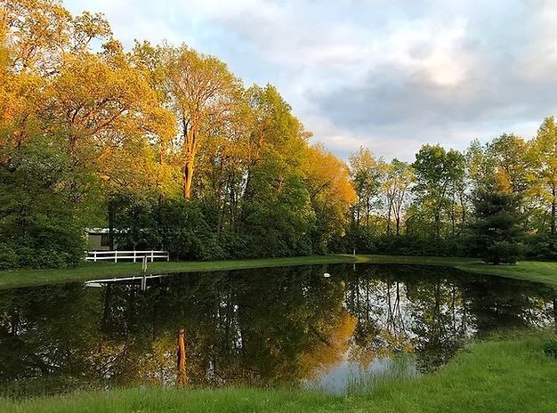 Anderson Oaks - Photo 7 of 11