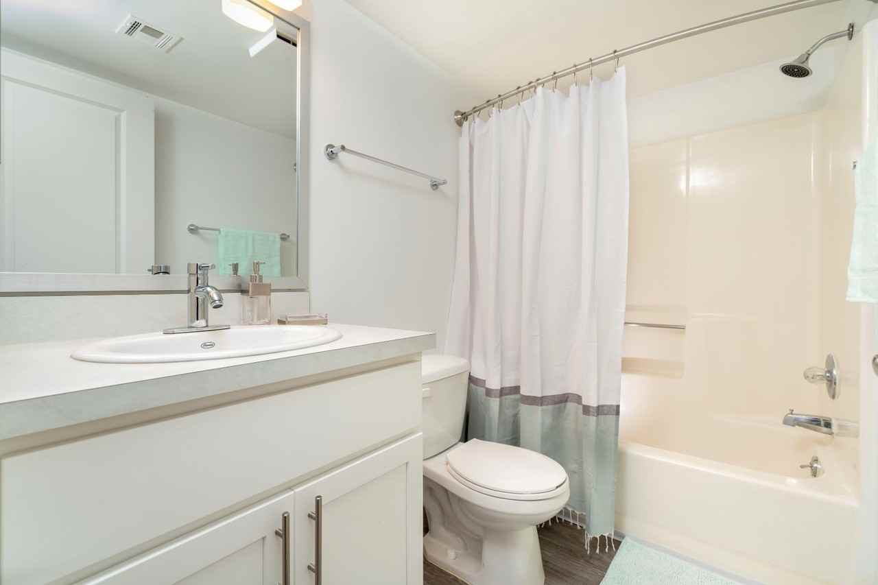 Ponds at Georgetown Apartments - Photo 4 of 17