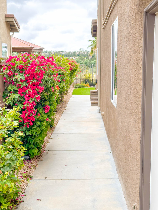 1412 Long View Dr - Photo 3 of 44