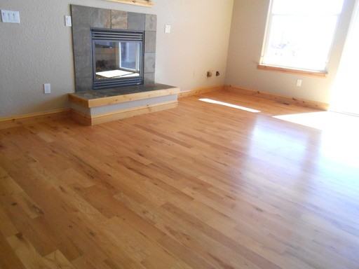 1164 Shelby Dr - Photo 2 of 14