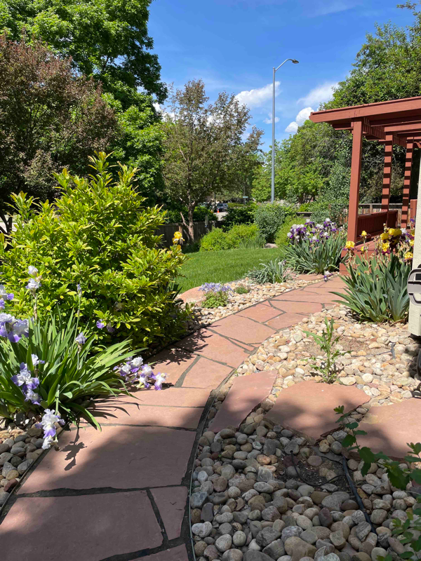 1301 Silk Oak Dr - Photo 3 of 16