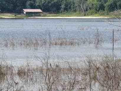 4722 Grassy Pond Rd #4722GP - Photo 3 of 23