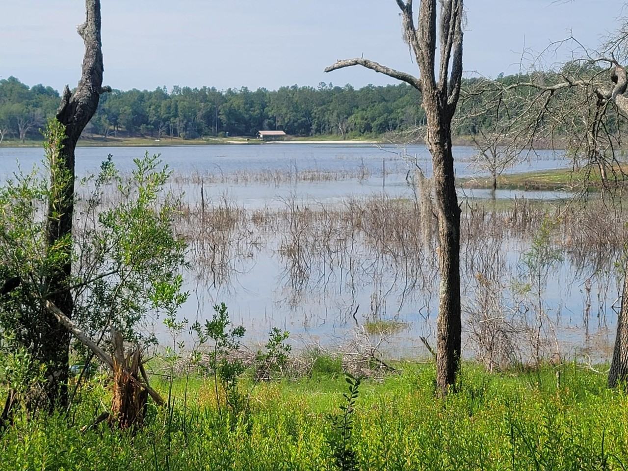 4722 Grassy Pond Rd #4722GP - Photo 5 of 23