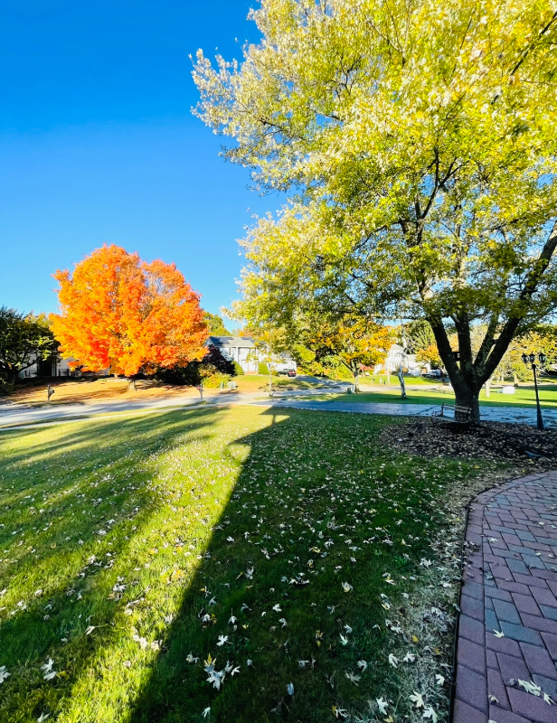 6 Evergreen - Photo 3 of 6