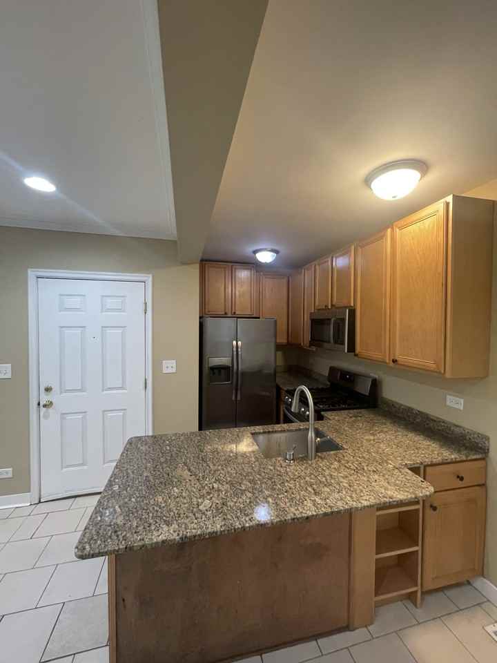 2728 West Lunt Avenue #1N - Photo 2 of 7