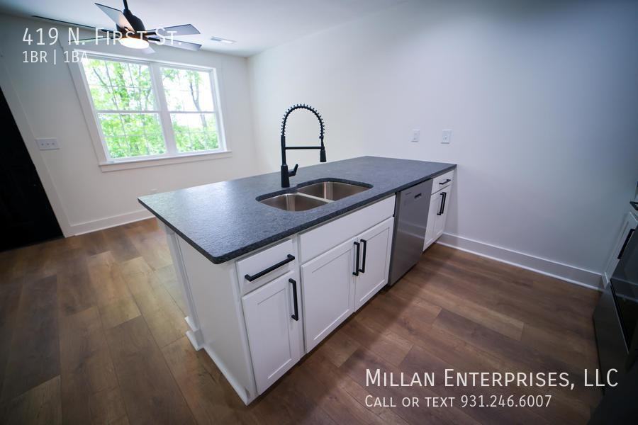 419 N 1st St - Photo 3 of 18