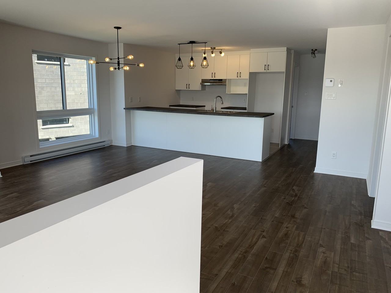 193 Rue Nancy-Elliott #2 - Photo 4 of 6