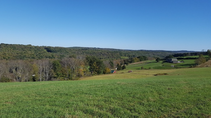 251 Upper Stella Ireland Rd #1 - Photo 3 of 5