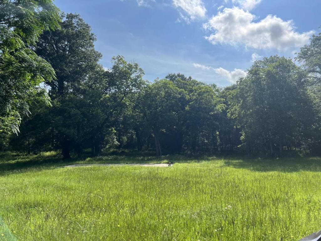 313 N Berry Rdg - Photo 2 of 5