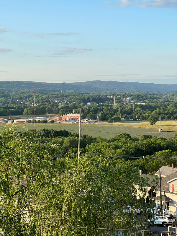 19 Rutter St - Photo 3 of 29