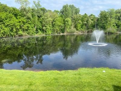 113 Pondview Ct #113 - Photo 3 of 11