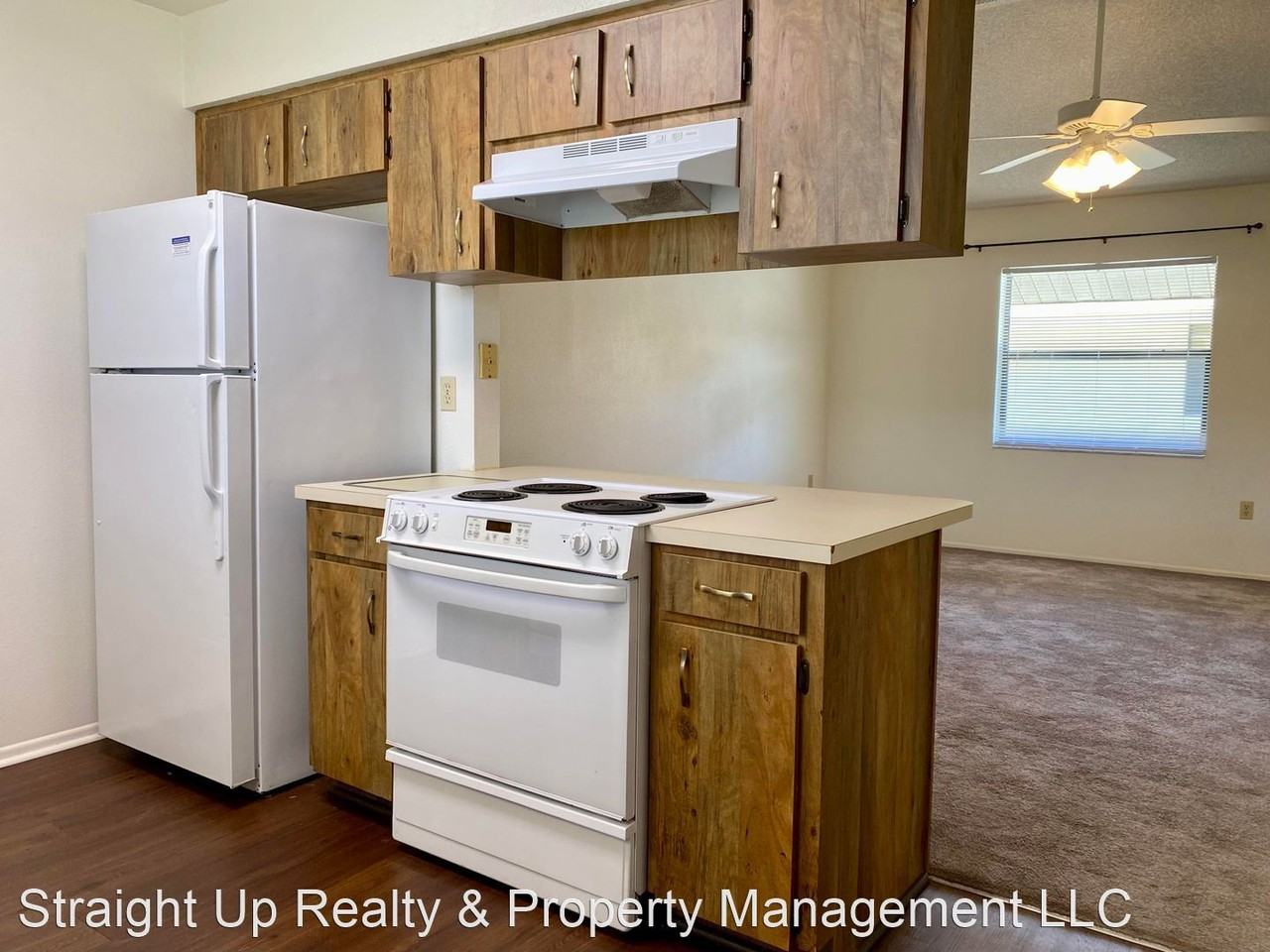 Spoonbill Ct - Photo 3 of 11