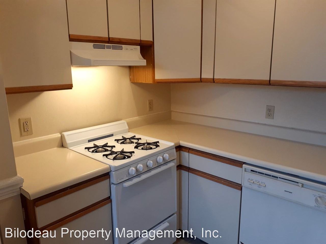 218 WATERMAN STREET - Photo 3 of 5