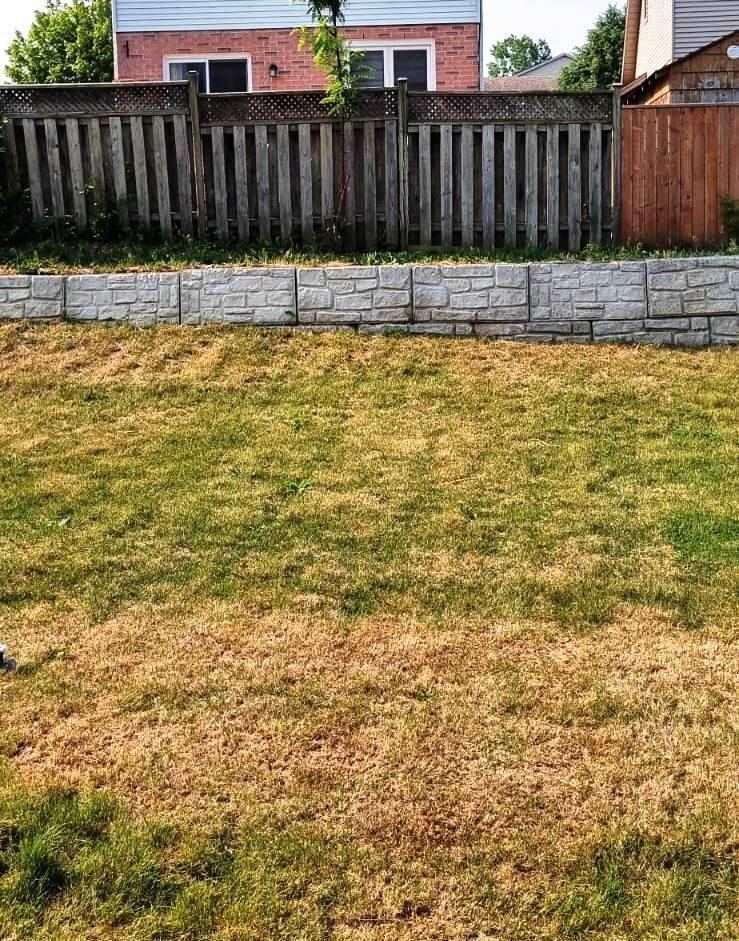 174 Pond Mills Road #979 Devero - Photo 2 of 23