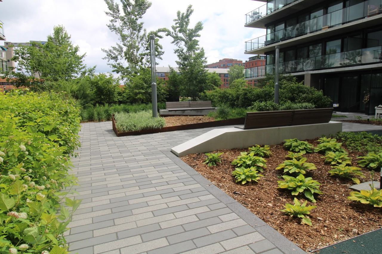 1616 Rue des Bassins #613 - Photo 3 of 19