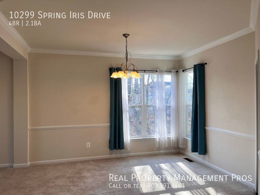 10299 Spring Iris Dr - Photo 3 of 32