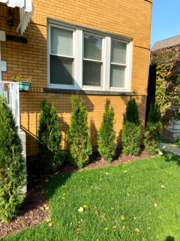 5644 N Saint Louis Ave - Photo 2 of 15