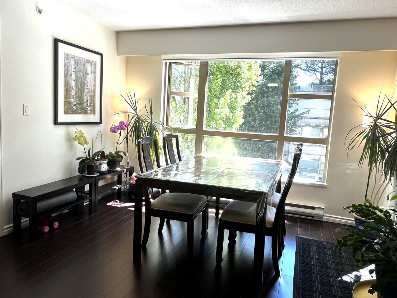 Saba Road #203 - Photo 5 of 12