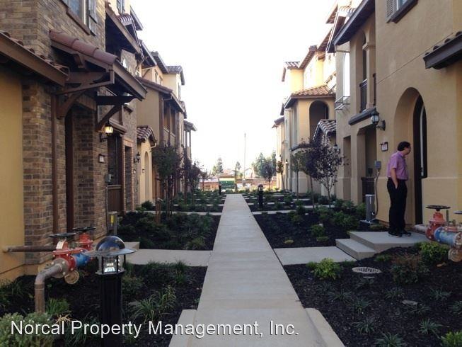 1036 Coriander Walkway - Photo 2 of 24