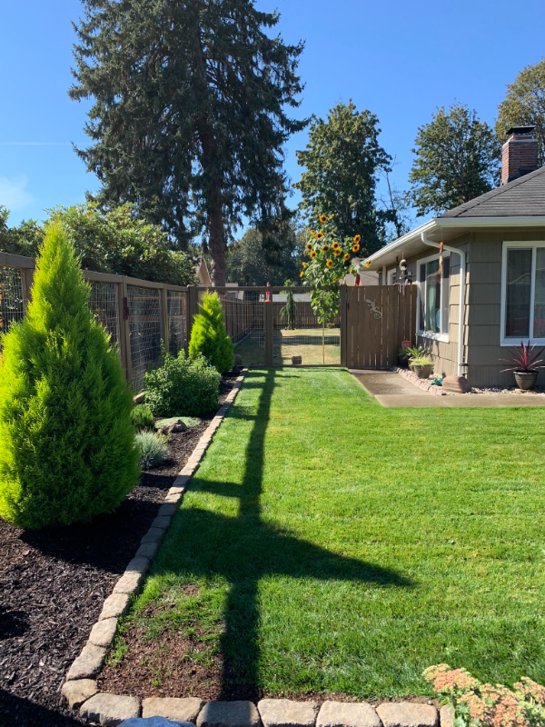 1511 Wilson St Se - Photo 2 of 18