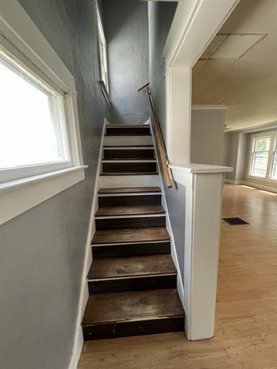 523 Clifford St - Photo 3 of 19