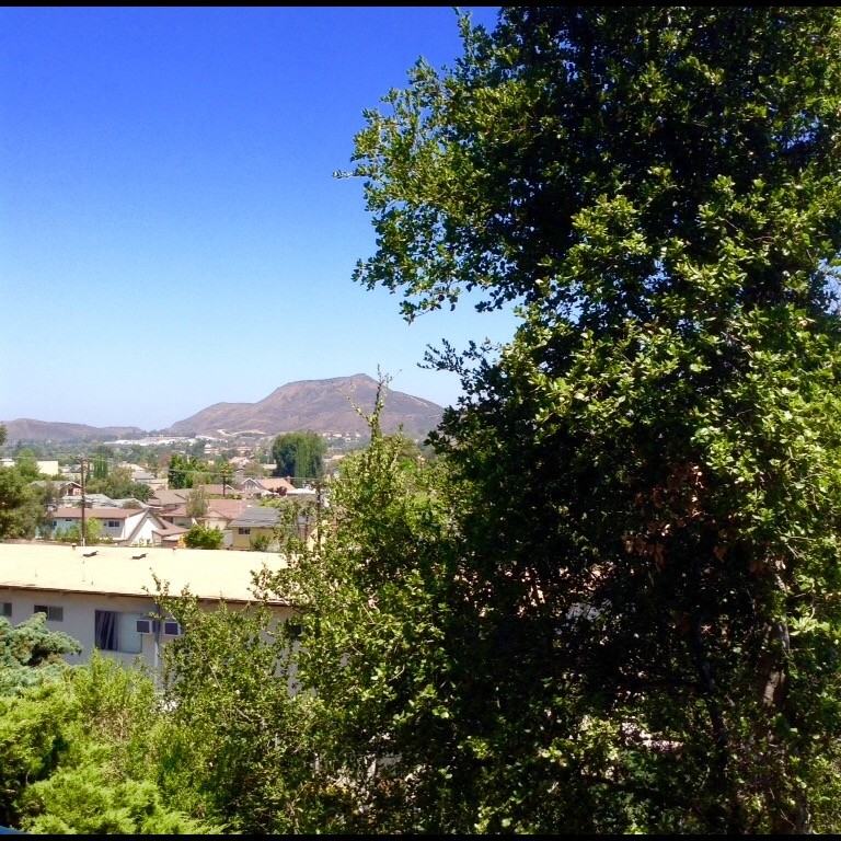 2760 Borchard Rd #205