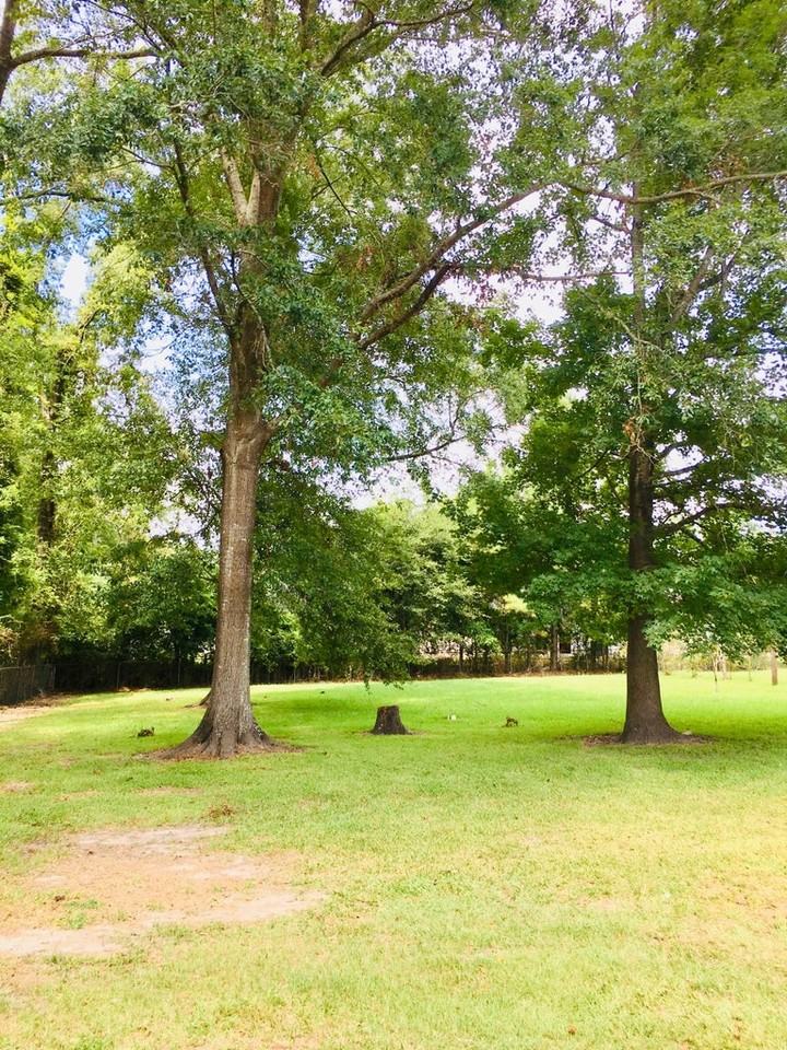 321 Vernon Street #1 - Photo 7 of 9