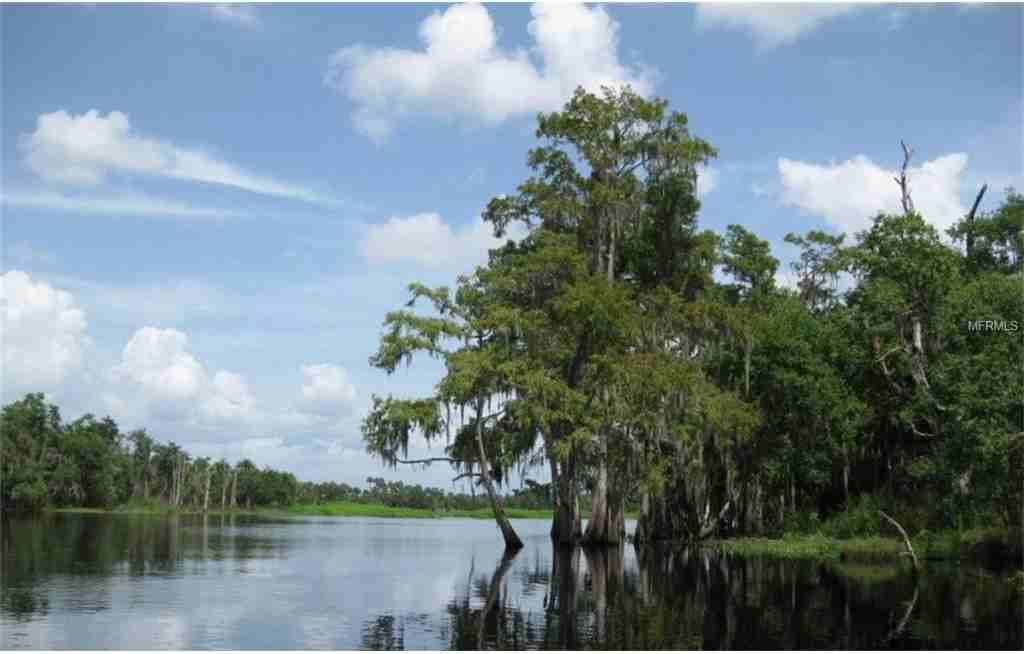 955 Lemon Bluff Rd #NA - Photo 2 of 23