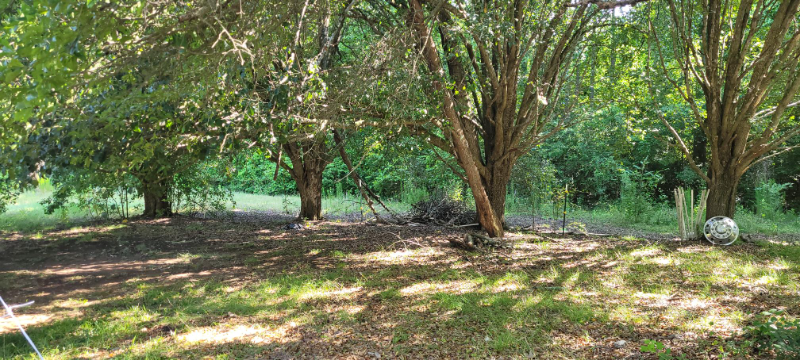 201 Ole Simpson Pl - Photo 2 of 37