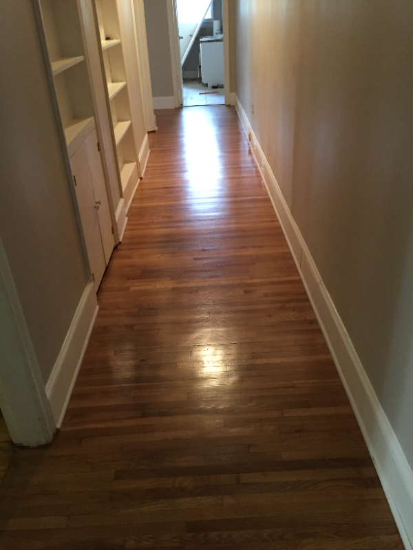 1225 S Belvedere Ave - Photo 4 of 15