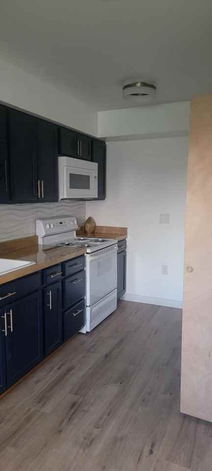 808 Wayne Ave #NA - Photo 3 of 23