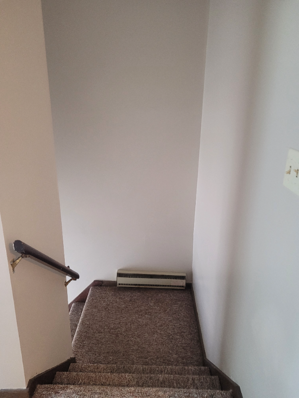 205 Pennsylvania Ave #3 - Photo 6 of 12