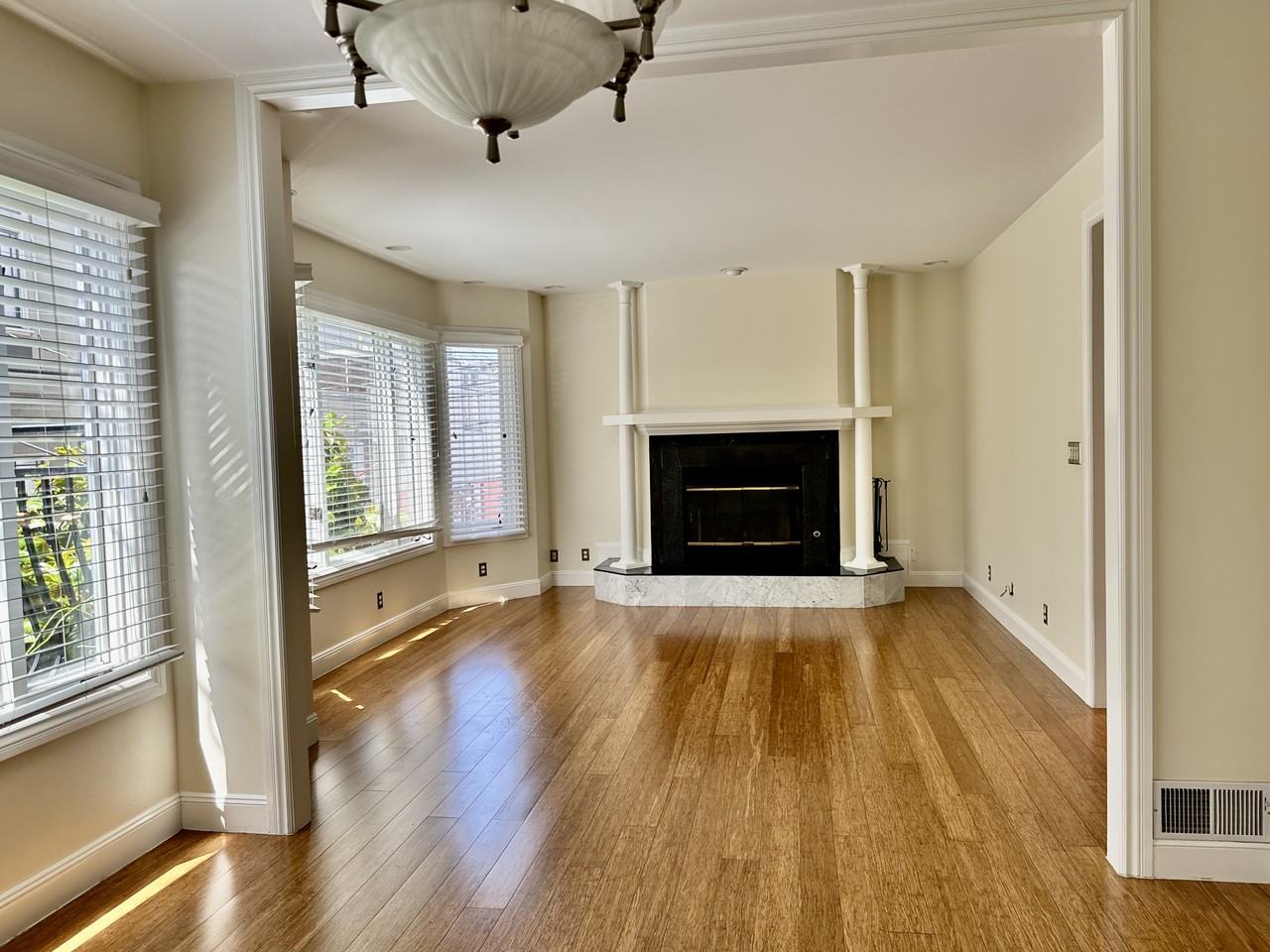 172 Pixley Street - Photo 3 of 17